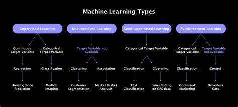 machine learning algorithms are described as learning a