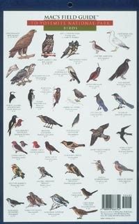 macs field guide to yosemite national park birds and mammals Epub