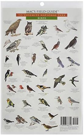 macs field guide to yosemite national park birds and mammals Epub