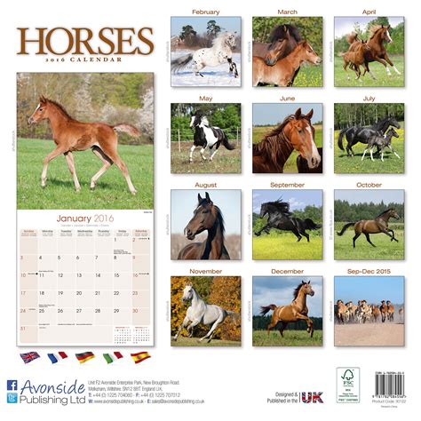 magic horses 2016 kalender calendars Doc