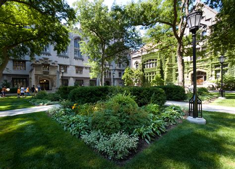 main quadrangle university of chicago