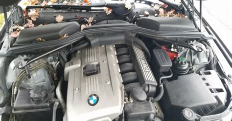 maintenance cost bmw 5 series Doc