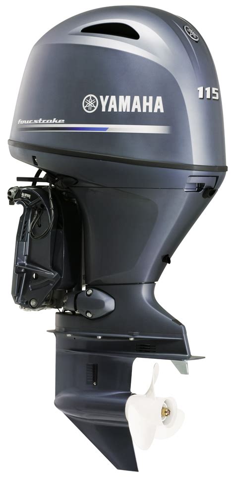 maintenance on four stroke 115 yamaha outboard Kindle Editon