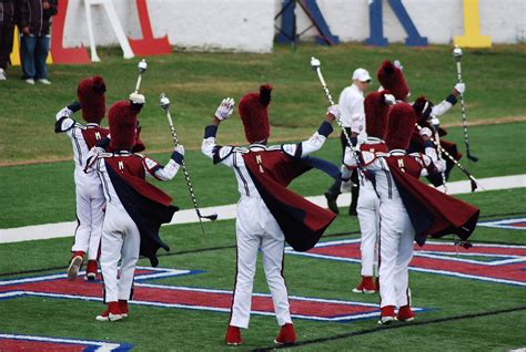 majors at scsu