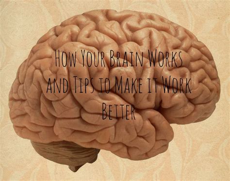 make your brain work make your brain work Epub