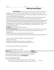 making karyotypes chapter 14 the human genome Doc