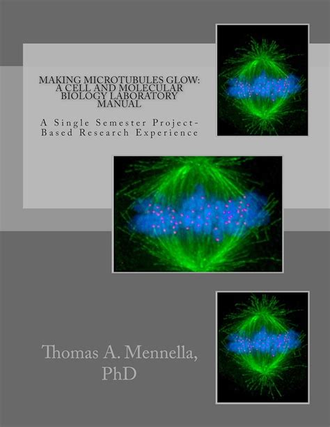 making microtubules glow laboratory project based Reader