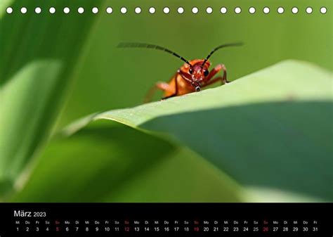 makros insektenwelt tischkalender 2016 quer Reader