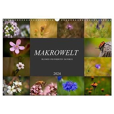 makrowelt 2016 wandkalender quer monatskalender Doc