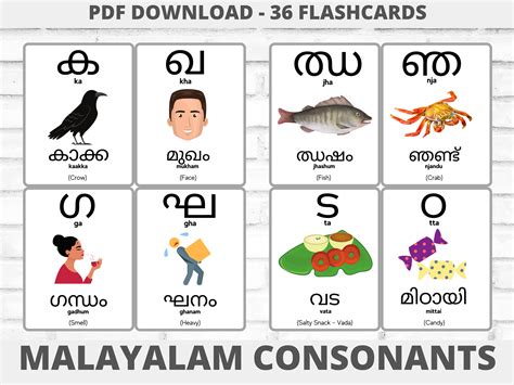 malayalam e book free download torrent Reader