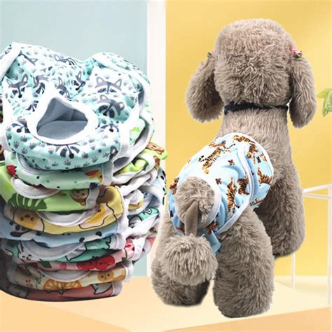 male dog nappies