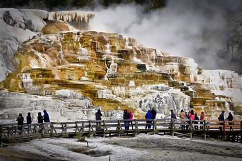 mammoth hot springs yellowstone