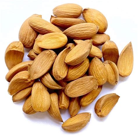 mamra almonds price