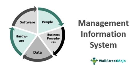 management information system Epub