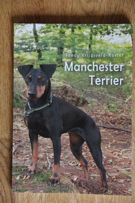 manchester terrier training guide book Doc
