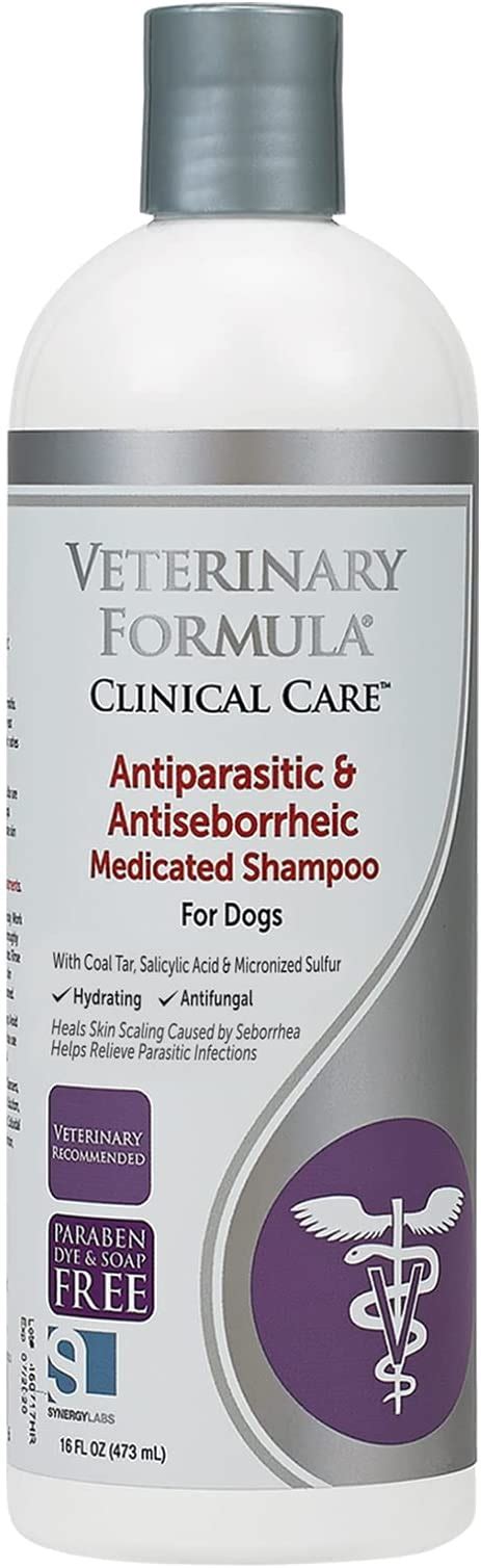 mange shampoo for dogs