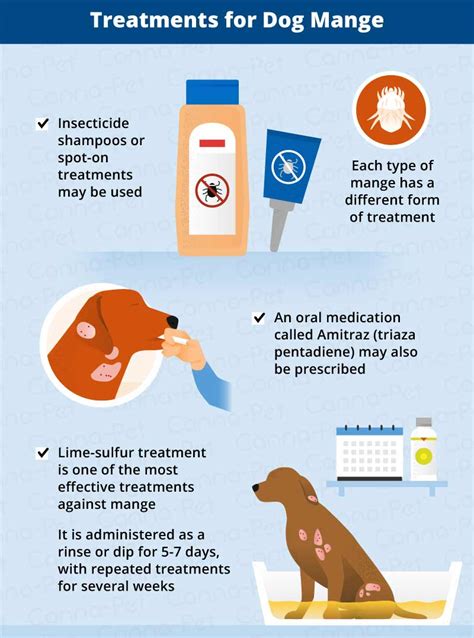 mange treatment for dogs