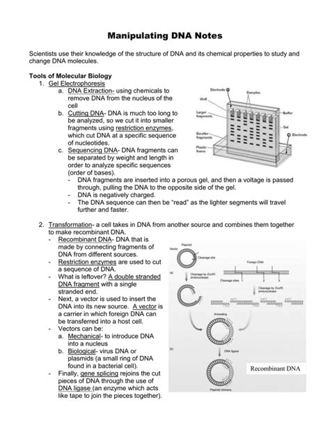 manipulating dna study guide answers Ebook Kindle Editon