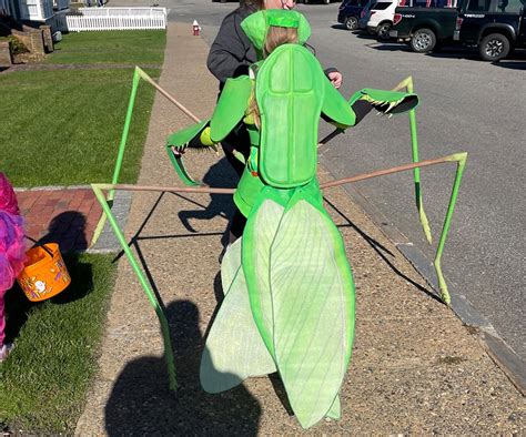 mantis costume