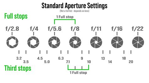 manual aperture 3 espanol Epub