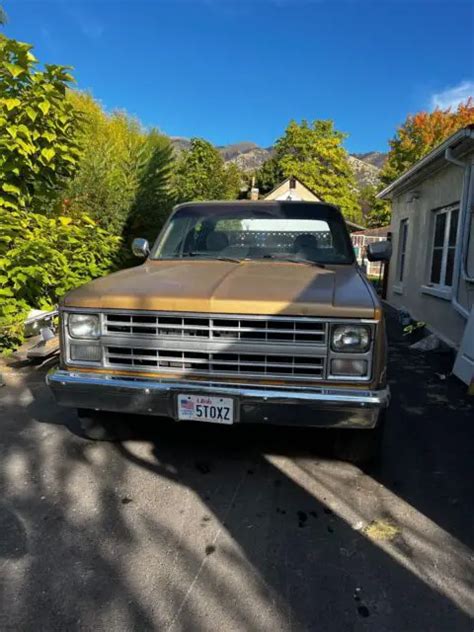 manual chevrolet c30 PDF