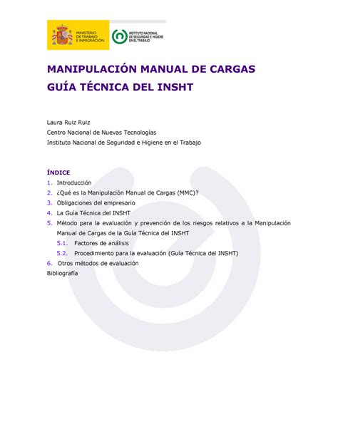 manual de procedimientos insht PDF