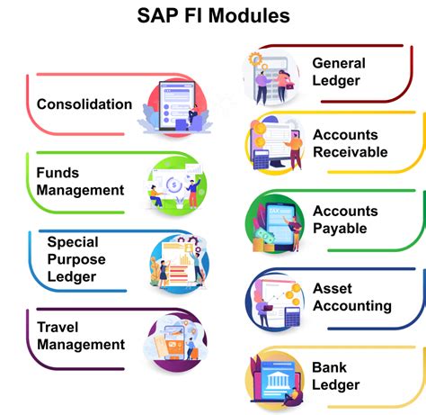 manual de sap fi Kindle Editon