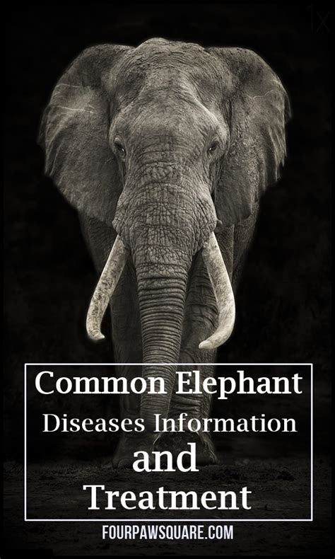 manual diseases elephant management classic PDF