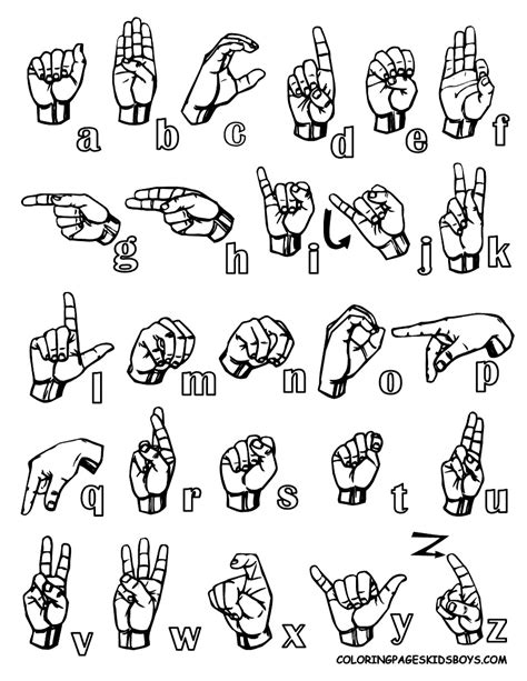 manual hand 11 in english Reader