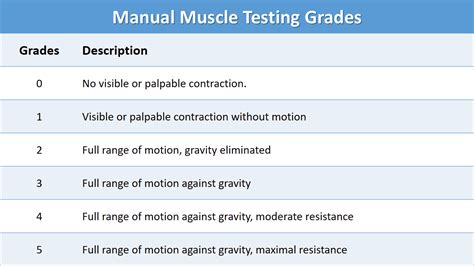 manual muscle testing grades Epub