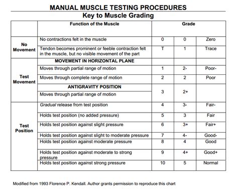 manual muscle testing procedure Epub