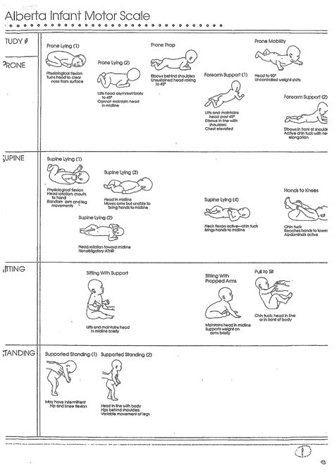 manual of alberta infant motor scale Doc