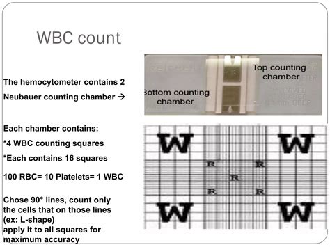manual wbc count hemocytometer pdf Epub