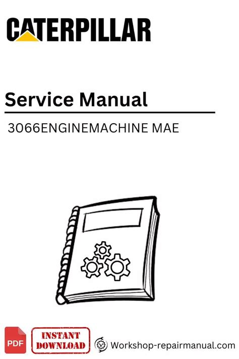 manual~3066 repair manual Doc