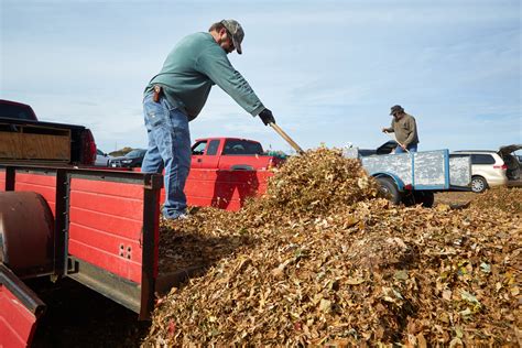 maple grove waste yard