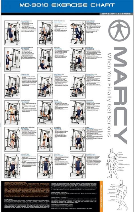 marcy weight bench exercise guide Epub