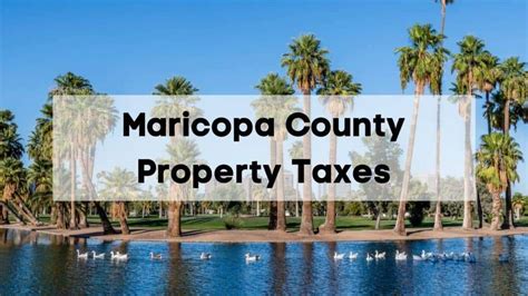 maricopa county property tax search