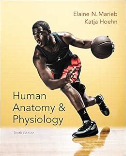 marieb human anatomy physiology lab manual 10th edition Reader