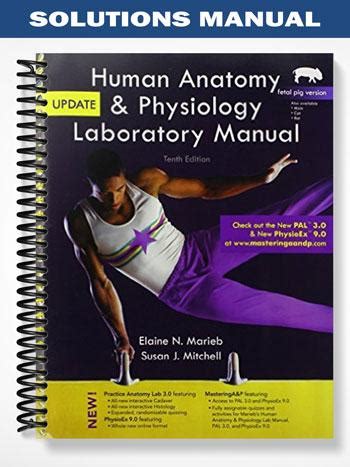 marieb manual lab 10th edition answers key Kindle Editon