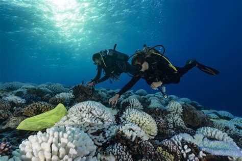 marine biology programs in california