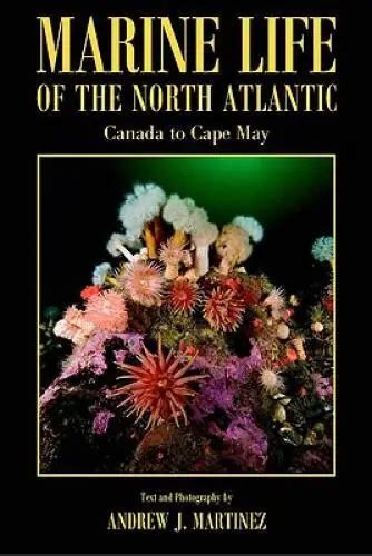 marine life of the north atlantic canada to new england Kindle Editon
