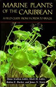 marine plants of the caribbean a field guide from florida to brazil Kindle Editon