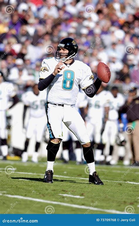 mark brunell jaguars