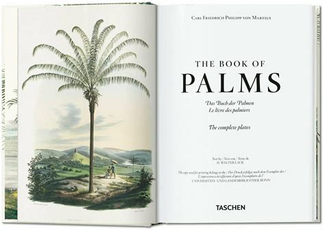 martius the book of palms Reader