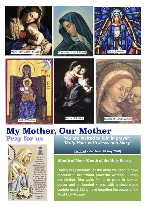 mary catholic spirituality for adults Reader