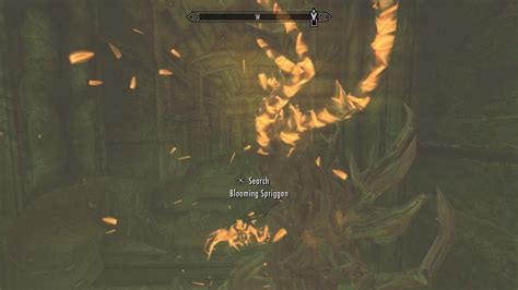 Mask Of Spring Skyrim Walkthrough