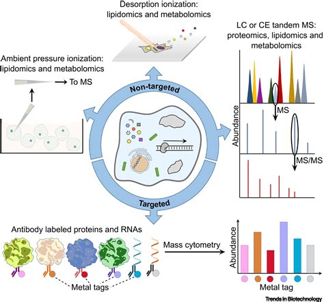 mass spectrometry for biotechnology Kindle Editon