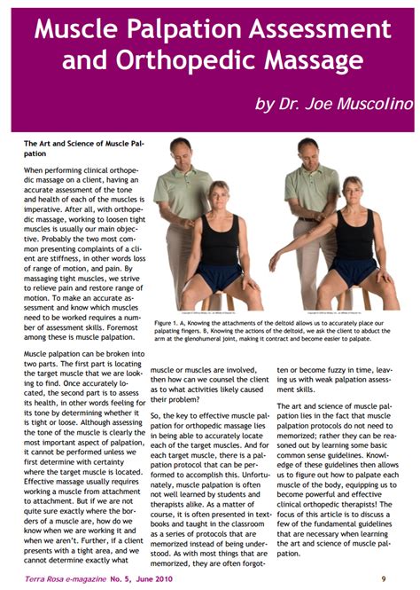 massage therapy palpation assessment Ebook Doc