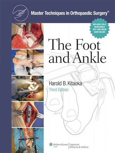 master techniques in orthopaedic surgery the foot and ankle Doc