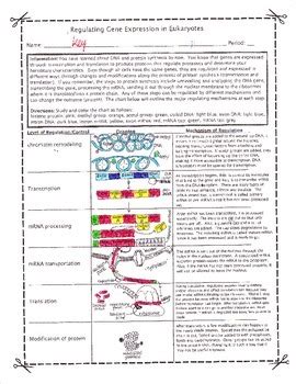 mastering biology activity answers regulating gene expression Ebook PDF